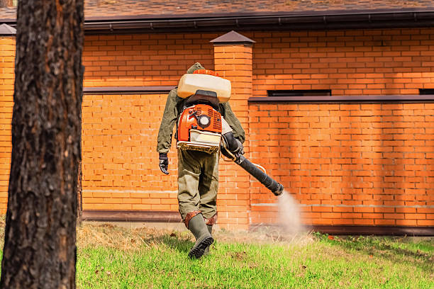 Bed Bug Clearance Verification and Documentation in Lavon